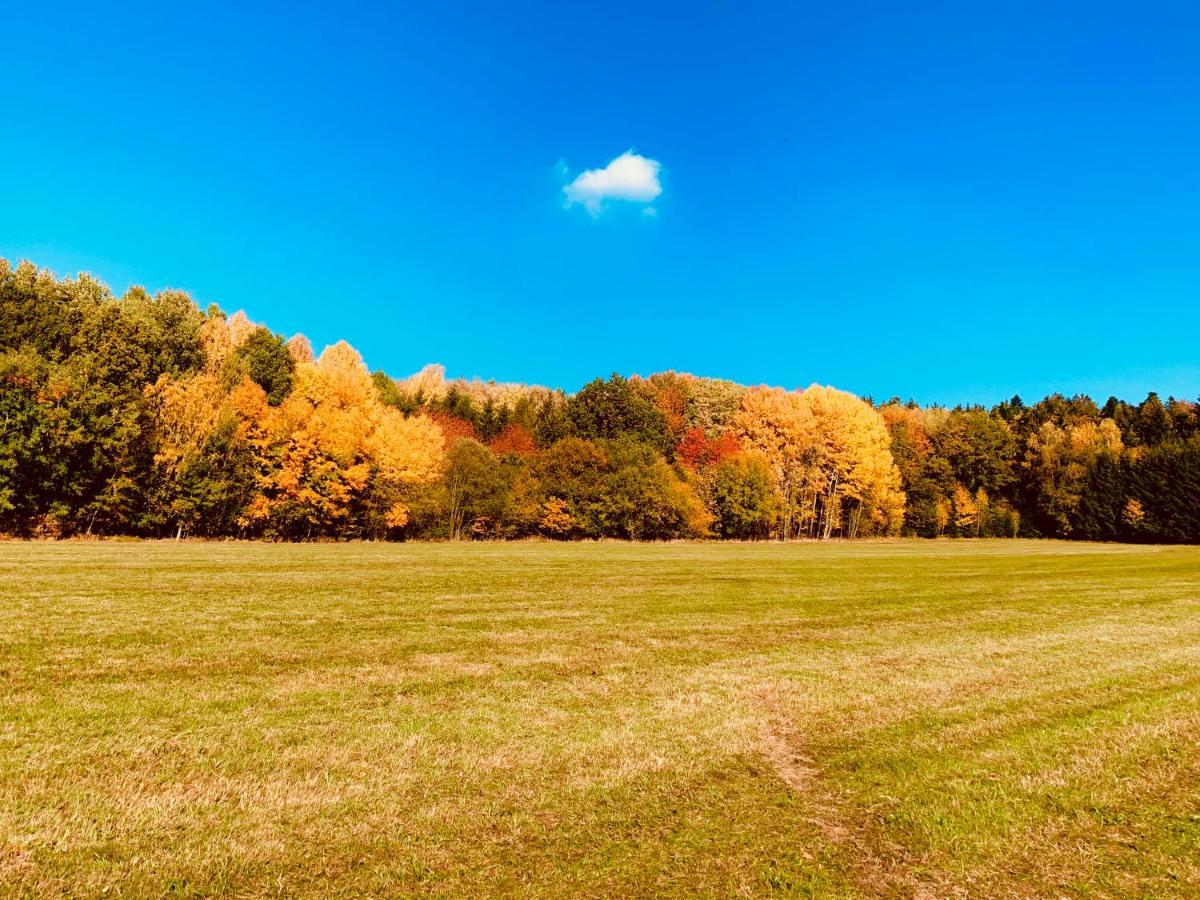 Bayerischer Wald - Balbersdorf Waffenbrunn Exterior foto