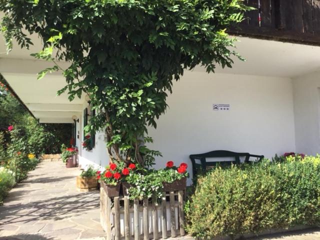 Bayerischer Wald - Balbersdorf Waffenbrunn Exterior foto
